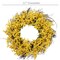 2-Pack: 22" Sunny Forsythia Wreaths with Grapevine Ring, Floral Home by Artificial Flowers